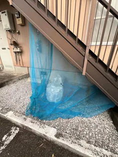 パインクレスト【1階】のその他画像