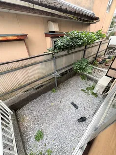 パインクレスト【1階】のその他画像