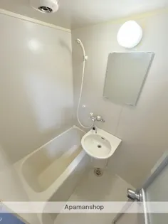 ライヴリー加納【311号室】の風呂