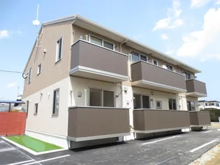 なでしこの画像