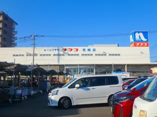 シティテラス宮崎【5階】の周辺