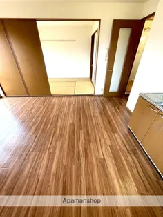 セジュールヒダカⅡ【2階】の内装