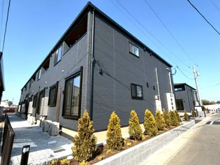 サンリットベゼル2の画像