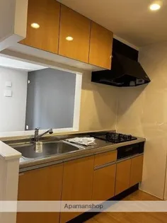 アルカディア祇園Ⅱ【2階】のキッチン