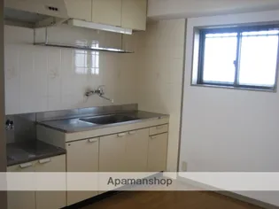 パストラル柳丸Ⅱ【203号室】のキッチン