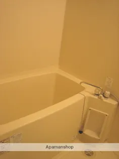 パストラル柳丸Ⅱ【203号室】の風呂