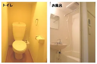 レオパレスラビホワ23【301号室】のその他画像