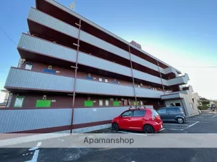 ベルハイムツバイテの画像