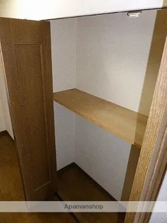 サーパス中央公園【507号室】の内装