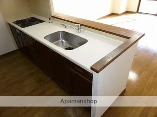 サーパス中央公園【507号室】のキッチン