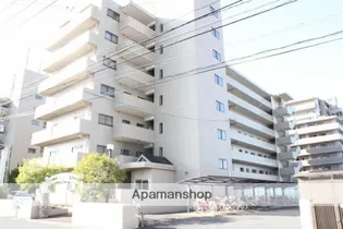 パストラル柳丸IIの画像