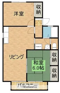 パークヒルイガワ【E101号室】の間取り
