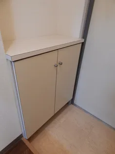 スカイコート宮崎Ⅱ【101号室】の玄関