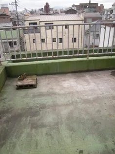 ラフィネス清水【501号室】のその他画像