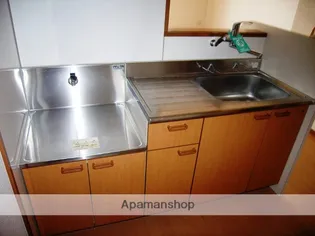 サンフォルトゥーナ宮崎駅東【901号室】のキッチン