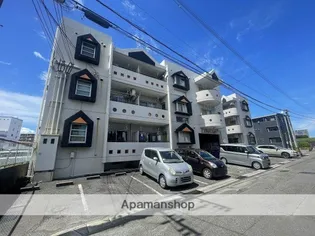 ライトコートの画像