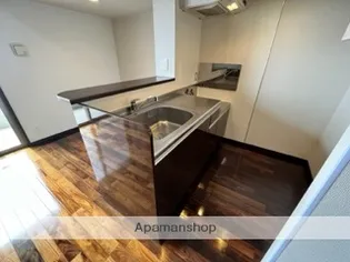 ALTE MEISTER カサミラ【802号室】のキッチン