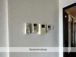 ALTE MEISTER カサミラ【802号室】のその他画像