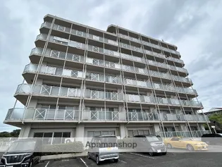 パームコートの画像