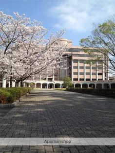 バンベール江平【405号室】の周辺