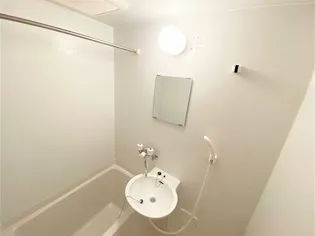 レオパレス源藤【204号室】の風呂