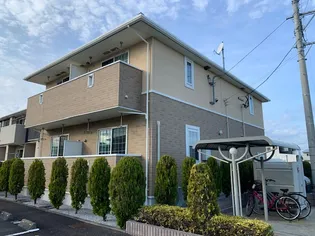 フィデール Kの画像