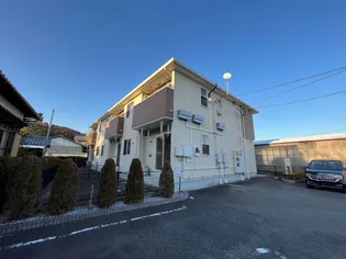 プリムローズの画像