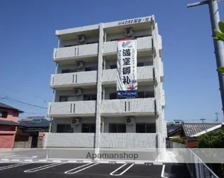 MADRE関谷 光の画像