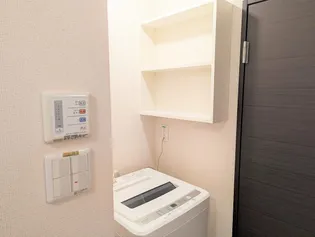 レオネクスト桜【102号室】のその他画像