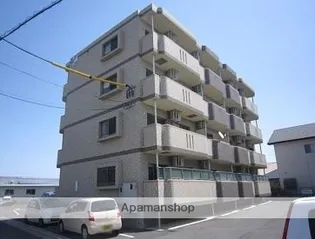 アミリアコートの画像