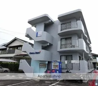 コーラルリーフの画像