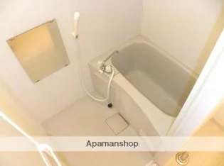 ダイナーズ鶴島【301号室】の風呂