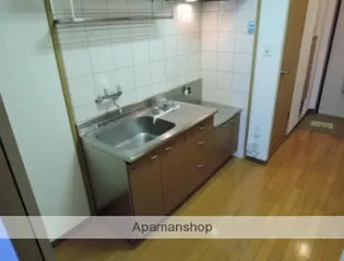 パームスウィート【303号室】のキッチン