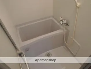 パームスウィート【105号室】の風呂