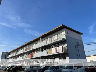 サルヴァトーレ吉村の画像