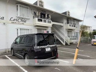 カゼッティーナレイチェの画像