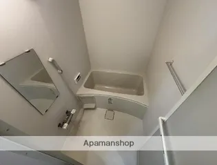 アンベール鶴島【202号室】の風呂