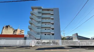 トモリーノ中村の画像