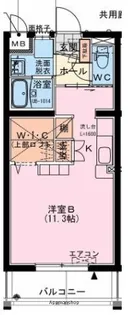 ラファエラ【503号室】の間取り