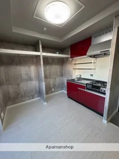 The Rock APT【305号室】の内装