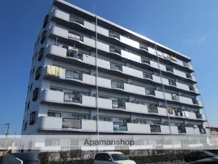 ピーチフローレⅢの画像