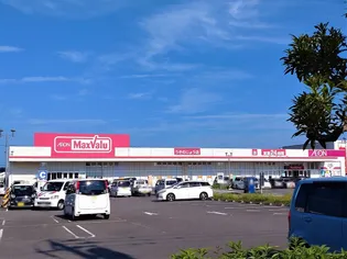 レオパレスアクエリウス【103号室】の周辺