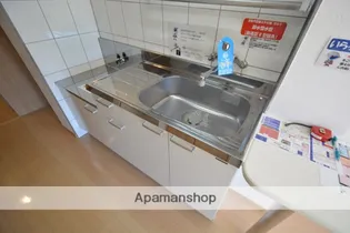 リバーフロント・マリーン【202号室】のキッチン