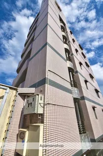 エレガンス11【4階】の外観