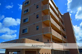 アンジェリークの画像