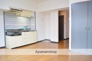 ルミナス松山【4階】の居間