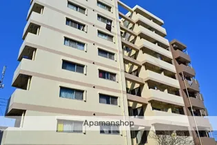 ルミナス松山【4階】の外観