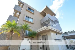 アンシャンテYの画像