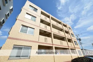 なのはなハイツⅤ【401号室】の外観