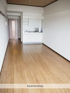 センチュリー丸島【203号室】の内装